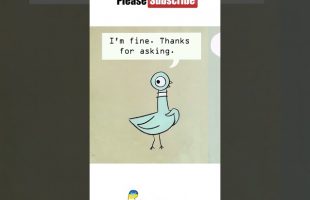 The Pigeon Wants a Puppy – Animated Read Aloud Book #nighttimestory #readaloud #shorts