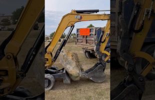 Moving Boulders With a CAT 305 Mini Excavator