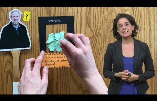 507 | How Daily Table Fights Food Deserts & Waste – Social Entrepreneurship Course