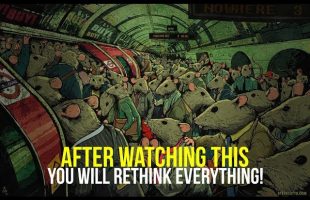 This Is Something You Really Need To Watch! An Eye Opening Video