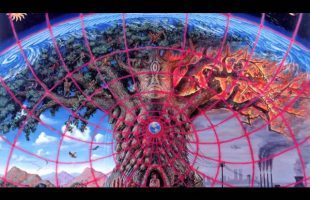 Terence Mckenna – The enemies of imagination