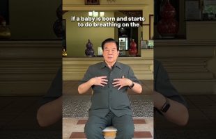 We were born this way, but we forgot it. The most efficient way of breathing. Master Mantak Chia☯️