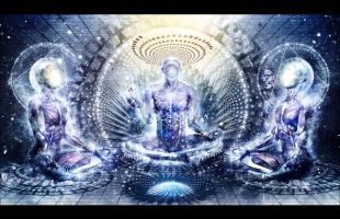 Terence Mckenna discusses Ayahusaca, Mushrooms, DMT and LSD