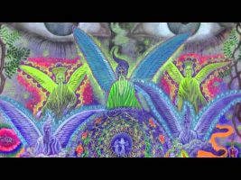 Terence Mckenna talks about the possible nature of future psychedelics