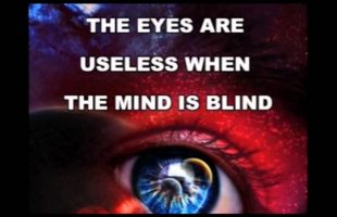 Terence Mckenna – Psychedelics relationship to novel ideas