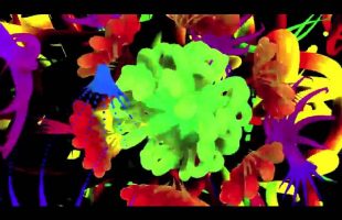 Terence Mckenna – Whats the matter with our critics