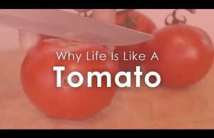 Why Life Is Like A Tomato – How To Make Life Simpler