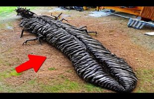 45 Things You Will See for the First Time in Your Life