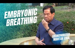 Embryonic breathing technique. Qigong and breathwork practice with Taoist Master Mantak Chia ☯️