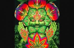 Terence McKenna ~ Inspiration Through Cannabis