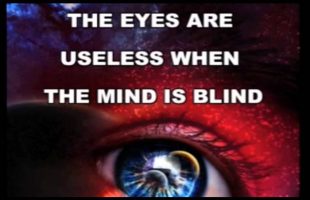 Terence Mckenna – Our crisis of consciousness and conditioning