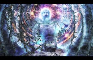Terence Mckenna – Culture is a diminution of humanness
