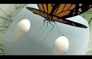 The Parable of the Butterfly Dream