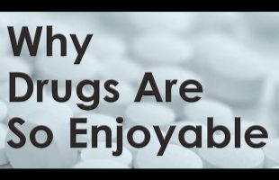 Why Drugs Are So Enjoyable – The Power Of Intoxication