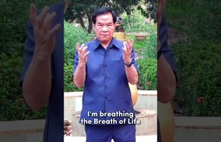Make sure that you breathe enough essence! Tao Master Mantak Chia on the primordial breath☯️