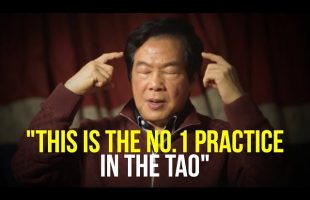How To Multiply Energy Into Your Organs | Mantak Chia