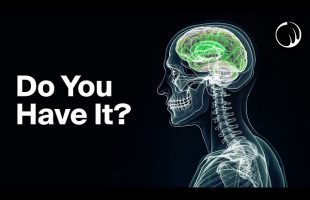 This kind of brain wasn’t made for this world…