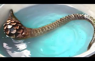 55 Things You Will See for the First Time in Your Life