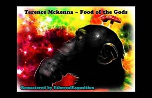 Terence Mckenna on weighing your dried mushrooms