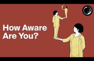 The Self-Awareness Paradox | How Aware Are You?