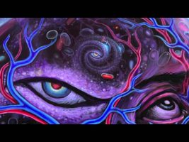 DMT, Mathematical Dimensions, Language, Memes and Death (Terence Mckenna)