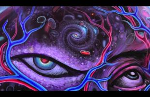 DMT, Mathematical Dimensions, Language, Memes and Death (Terence Mckenna)