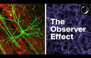 Weird Things Begin to Happen When You Examine Consciousness