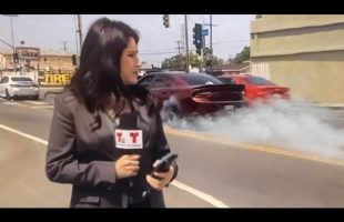 Incredible Road Moments Caught on Camera