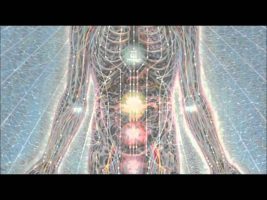 Terence McKenna What Does It Mean To Be Human [HD]