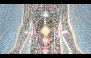 Terence McKenna What Does It Mean To Be Human [HD]