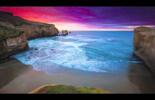 Terence Mckenna – The world could be anything