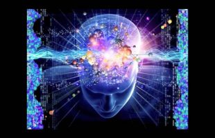 Terence Mckenna – Nobody knows jack shit about what is going on