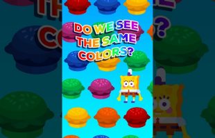Do We See the Same Colors?