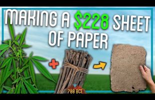 Making Paper Out Of Trees (100% From Scratch)
