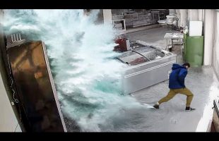 50 Luckiest People Ever Caught on Camera