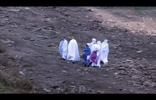 Camera Captured High in the Mountains What No One Expected to See
