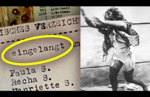 These Bizarre Nazi Documents Reveal The Most Horrifying Secrets