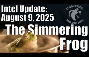Intel Update – August 9 – The Simmering Frog