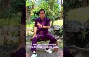 What is Kan and Li in the Tao?☯️Water and Fire advanced meditations. Master Mantak Chia #mantakchia