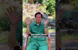 What do people see and hear in the Taoist Darkroom? Advanced meditations for higher consciousness☯️