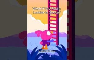 Let’s Climb a Ladder to Space – Will We Float or Fall?