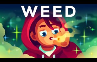We Have To Talk About Weed