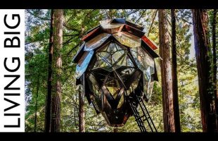 The Pinecone Treehouse: A Spectacular Tiny Home In The Trees