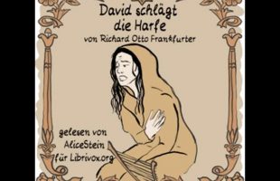 David schlägt die Harfe by Richard O. Frankfurter read by AliceStein Part 1/2 | Full Audio Book