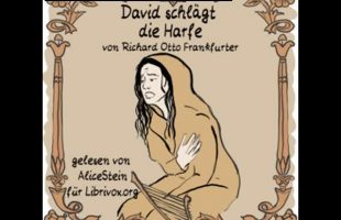David schlägt die Harfe by Richard O. Frankfurter read by AliceStein Part 2/2 | Full Audio Book