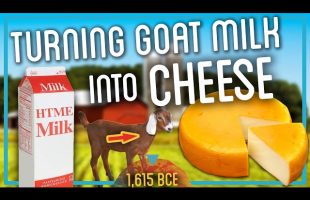 Homemade Cheese 100% from Scratch (Made from Goat Milk)