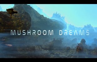 Mushroom Dreams | AMBIENT relaxation music | 1 hour