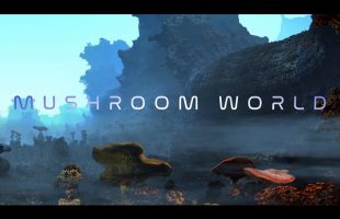 The Mushroom World | AMBIENT relaxation | 1 hour