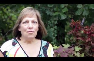 Julia Cannon on Dolores Cannon’s Convoluted Universe: Book Five
