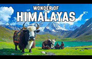 WONDERS OF THE HIMALAYAS | The Most Amazing Places to Visit in Tibet, Bhutan, Nepal, India, Pakistan